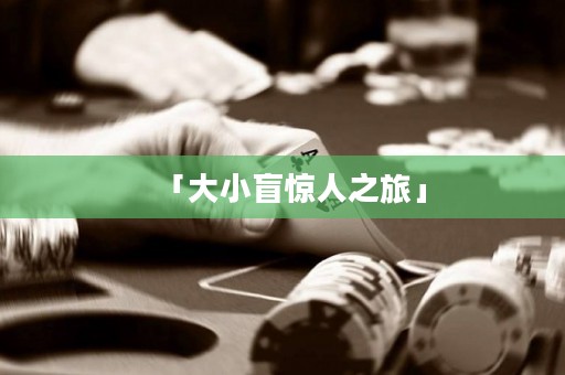 「大小盲驚人之旅」