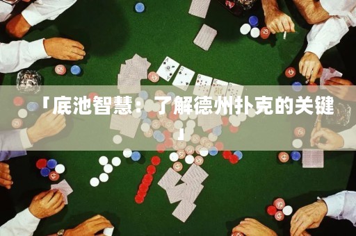 「底池智慧：了解德州撲克的關(guān)鍵」