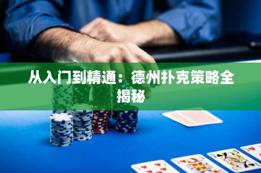 從入門到精通：德州撲克策略全揭秘