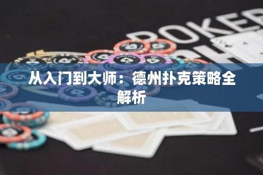 從入門(mén)到大師：德州撲克策略全解析