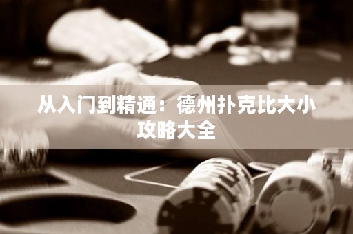 從入門到精通：德州撲克比大小攻略大全