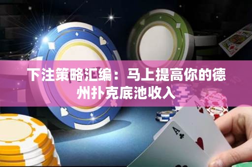 下注策略匯編：馬上提高你的德州撲克底池收入