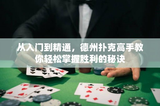 從入門(mén)到精通，德州撲克高手教你輕松掌握勝利的秘訣