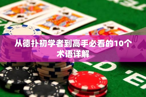 從德?lián)涑鯇W者到高手必看的10個術語詳解