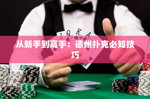 從新手到高手：德州撲克必知技巧