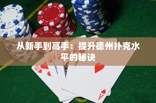 從新手到高手：提升德州撲克水平的秘訣