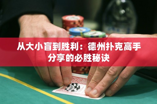 從大小盲到勝利：德州撲克高手分享的必勝秘訣