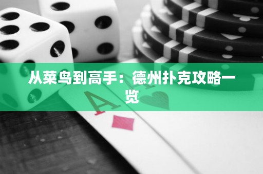 從菜鳥到高手：德州撲克攻略一覽
