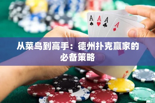 從菜鳥到高手：德州撲克贏家的必備策略