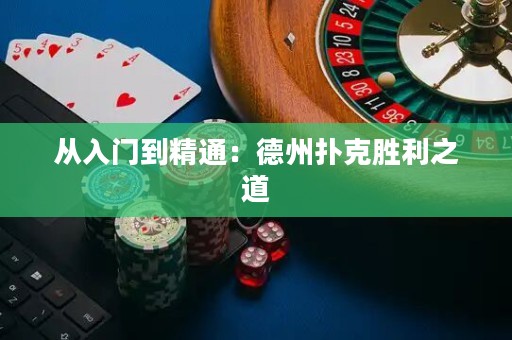 從入門到精通：德州撲克勝利之道
