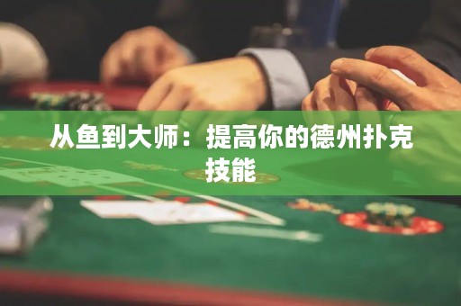 從魚到大師：提高你的德州撲克技能