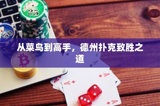從菜鳥(niǎo)到高手，德州撲克致勝之道