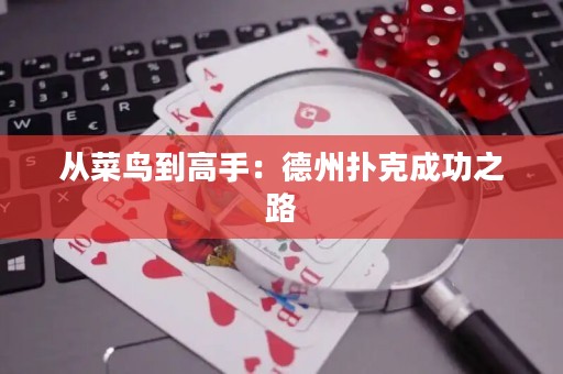 從菜鳥(niǎo)到高手：德州撲克成功之路