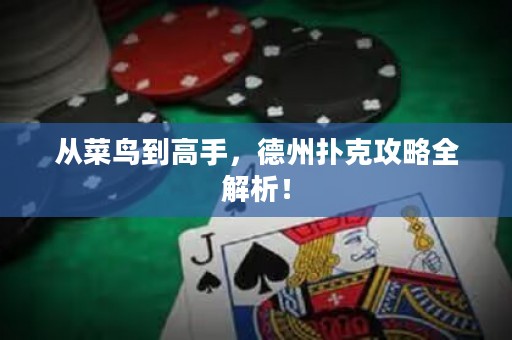 從菜鳥(niǎo)到高手，德州撲克攻略全解析！