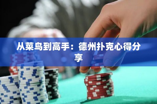 從菜鳥到高手：德州撲克心得分享