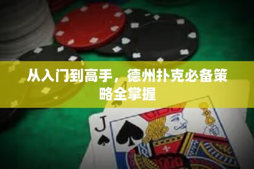 從入門到高手，德州撲克必備策略全掌握
