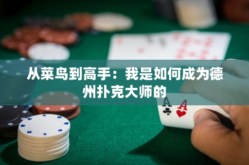 從菜鳥(niǎo)到高手：我是如何成為德州撲克大師的