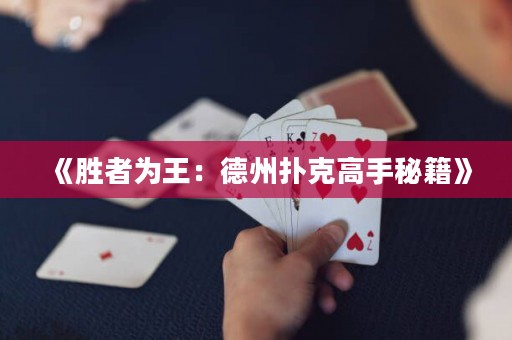 《勝者為王：德州撲克高手秘籍》