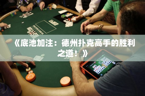 《底池加注：德州撲克高手的勝利之道！》