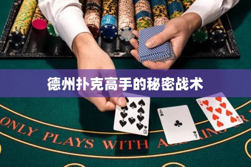 德州撲克高手的秘密戰(zhàn)術
