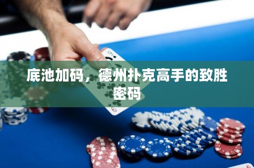 底池加碼，德州撲克高手的致勝密碼