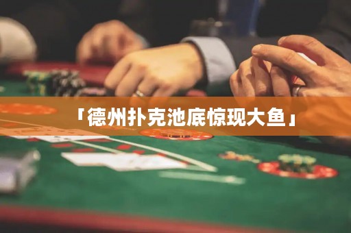 「德州撲克池底驚現(xiàn)大魚」