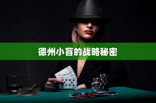 德州小盲的戰(zhàn)略秘密