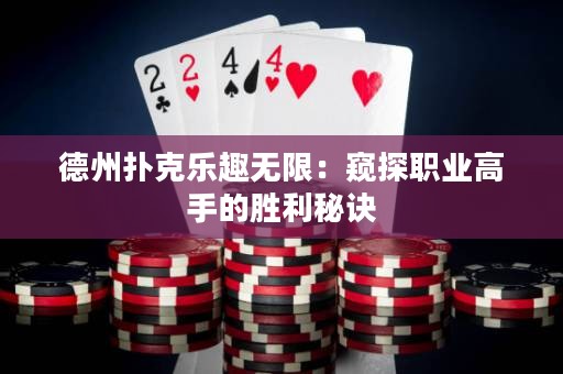 德州撲克樂趣無限：窺探職業(yè)高手的勝利秘訣