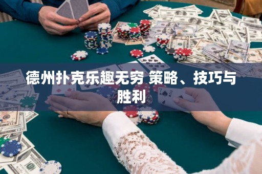 德州撲克樂趣無窮 策略、技巧與勝利