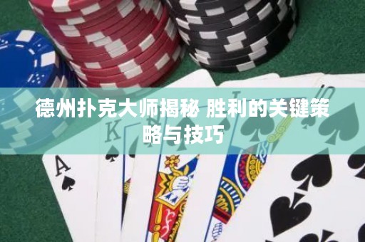 德州撲克大師揭秘 勝利的關(guān)鍵策略與技巧