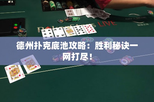 德州撲克底池攻略：勝利秘訣一網(wǎng)打盡！