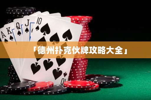 「德州撲克伙牌攻略大全」