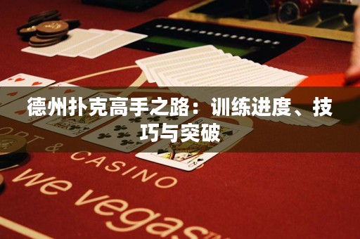 德州撲克高手之路：訓(xùn)練進(jìn)度、技巧與突破