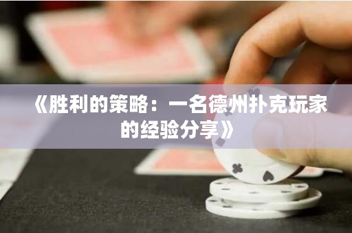 《勝利的策略：一名德州撲克玩家的經(jīng)驗(yàn)分享》