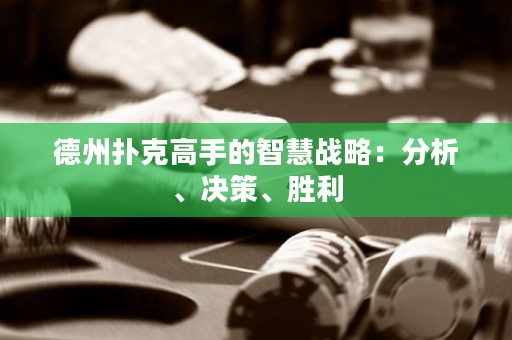 德州撲克高手的智慧戰(zhàn)略：分析、決策、勝利