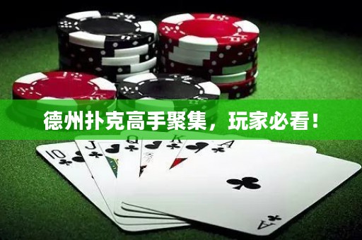 德州撲克高手聚集，玩家必看！