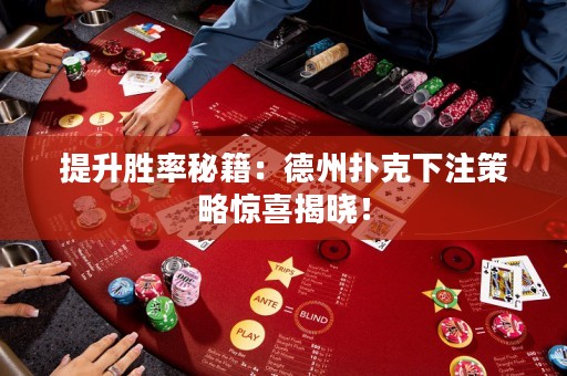 提升勝率秘籍：德州撲克下注策略驚喜揭曉！