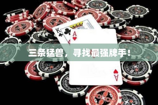 三條猛獸，尋找最強(qiáng)牌手！