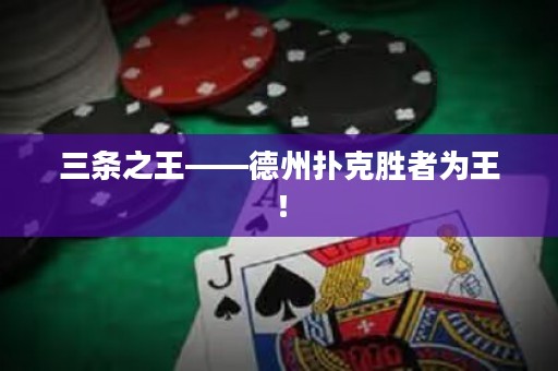 三條之王——德州撲克勝者為王！