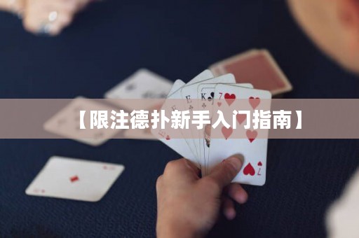 【限注德?lián)湫率秩腴T指南】