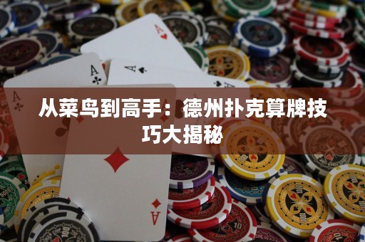 從菜鳥到高手：德州撲克算牌技巧大揭秘