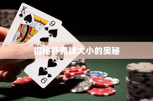 揭秘?fù)淇伺拼笮〉膴W秘