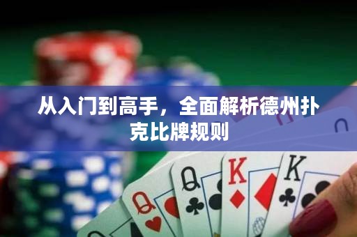 從入門到高手，全面解析德州撲克比牌規(guī)則