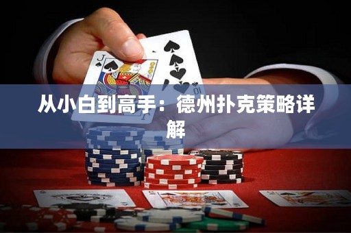從小白到高手：德州撲克策略詳解