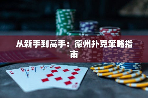 從新手到高手：德州撲克策略指南