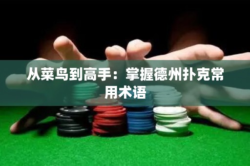 從菜鳥到高手：掌握德州撲克常用術(shù)語