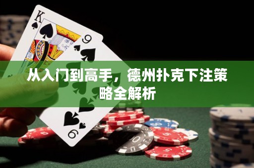 從入門到高手，德州撲克下注策略全解析