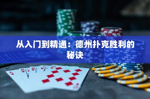 從入門到精通：德州撲克勝利的秘訣