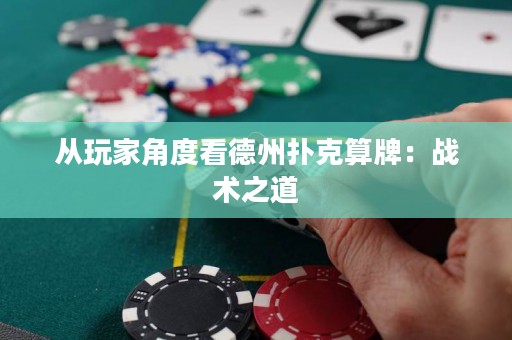 從玩家角度看德州撲克算牌：戰(zhàn)術(shù)之道