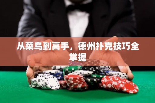 從菜鳥到高手，德州撲克技巧全掌握